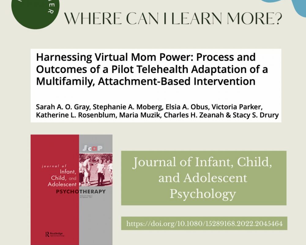 This image shows the article title and journal where it is published (Journal of Infant, Child, and Adolescent Psychology) as a book cover that is red and gray.